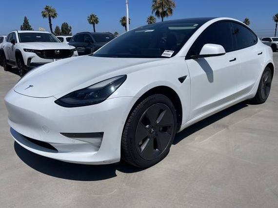 TESLA MODEL 3 2021 5YJ3E1EA3MF062036 image